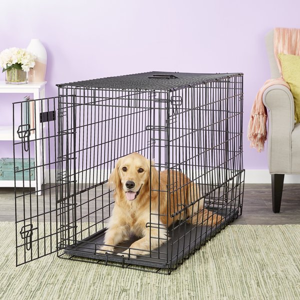 MidWest Solutions Series Side by Side Double Door Collapsible SUV Dog Crate, 42 inch slide 1 of 8