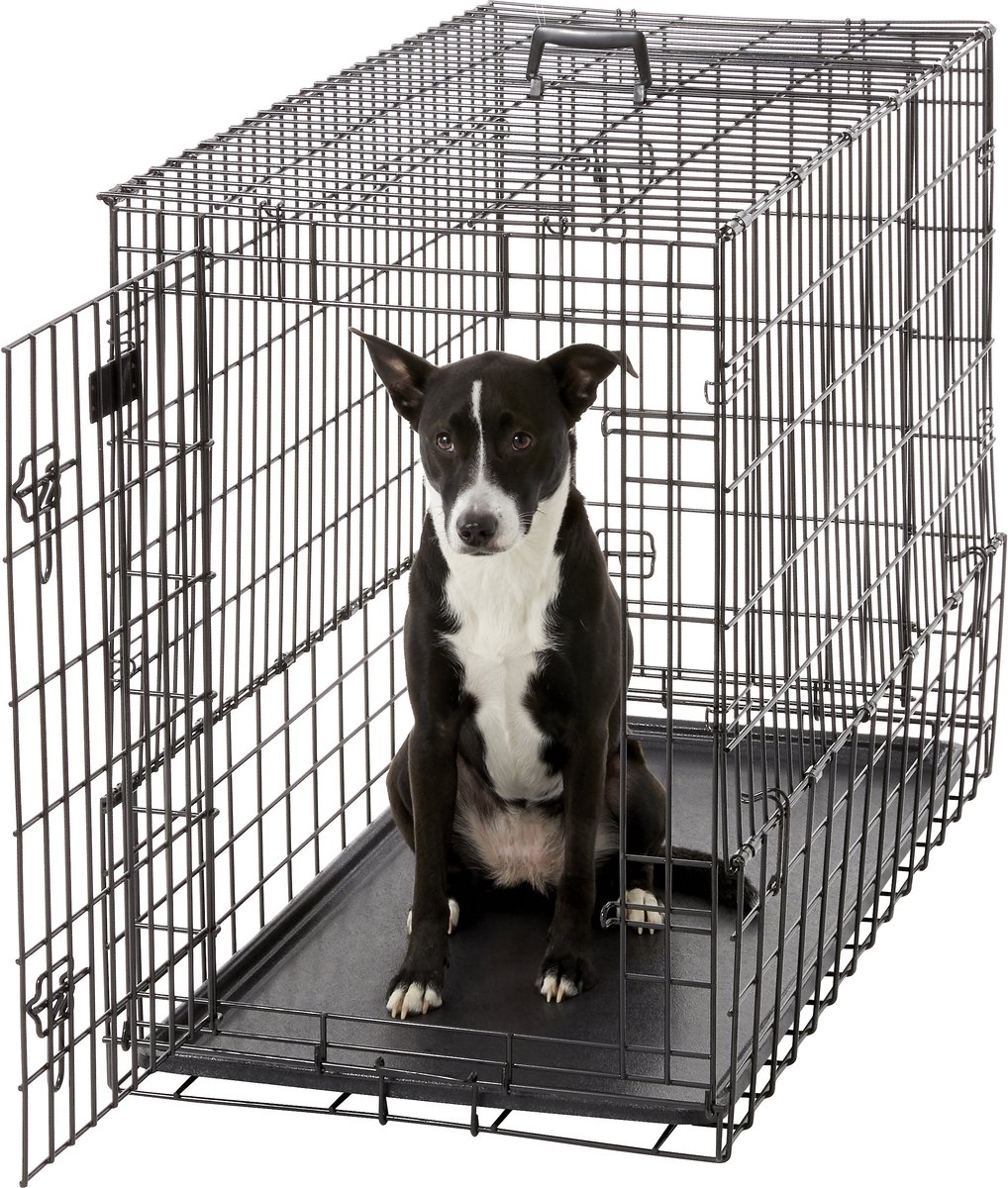 Suv dog outlet crate