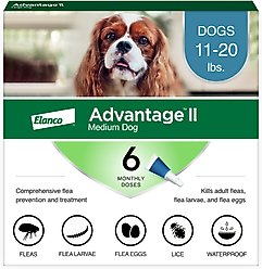 Advantage II Flea Spot Treatment for Dogs, 11-20 lbs, 6 Doses (6-mos. supply)