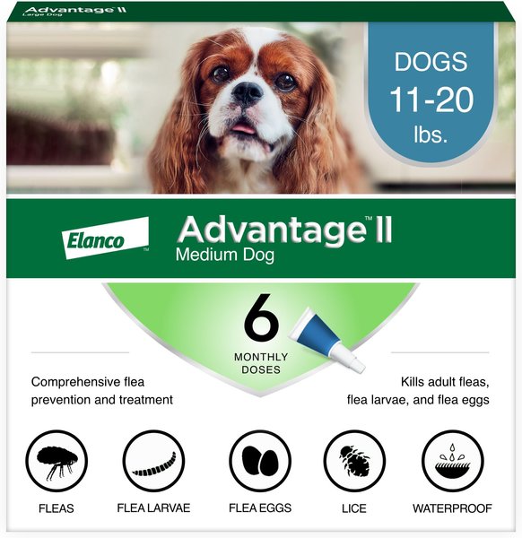 Advantage II Flea Spot Treatment for Dogs, 11-20 lbs, 6 Doses (6-mos. supply) slide 1 of 13