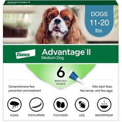 Advantage multi for dogs chewy hotsell