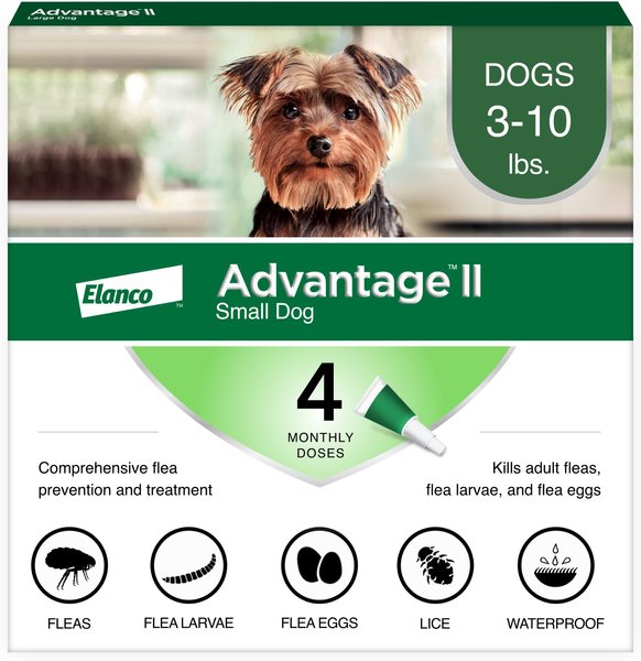 Spot on flea treatment hotsell for dogs