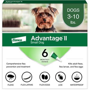 Advantage II Flea Spot Treatment for Dogs, 3-10 lbs, 6 Doses (6-mos. supply)
