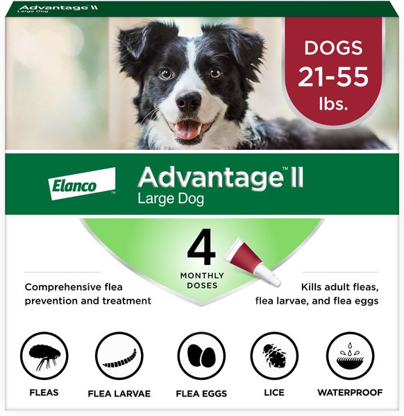 Advantage II Flea & Tick Spot Treatment for Dogs, 21-55 lbs, 4 Doses (4-mos. supply) slide 1 of 12
