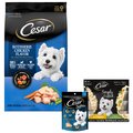Dog Food & Treats Starter Pack - Cesar Variety Pack Wet Food Topper, Chicken & Vegetables Small Breed Dry Food, Chicken Treats