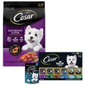 Dog Food & Treats Starter Pack - Cesar Filet Mignon & Vegetables Small Breed Dry Food, Poultry Lover's Variety Pack Wet Food, Softies Chicken Treats