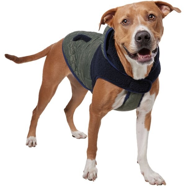 FRISCO Lightweight Insulated Bomber Dog & Cat Jacket, Olive, Large