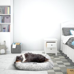 Max & Marlow Plush Sherpa Bolstered Crate Dog & Cat Bed, Gray, Small slide 2 of 5