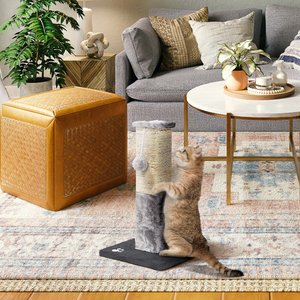 Cat Craft Plush & Sisal Square Cat Scratching Post with Plush Hanging Cat Toy, Gray/Natural, Small