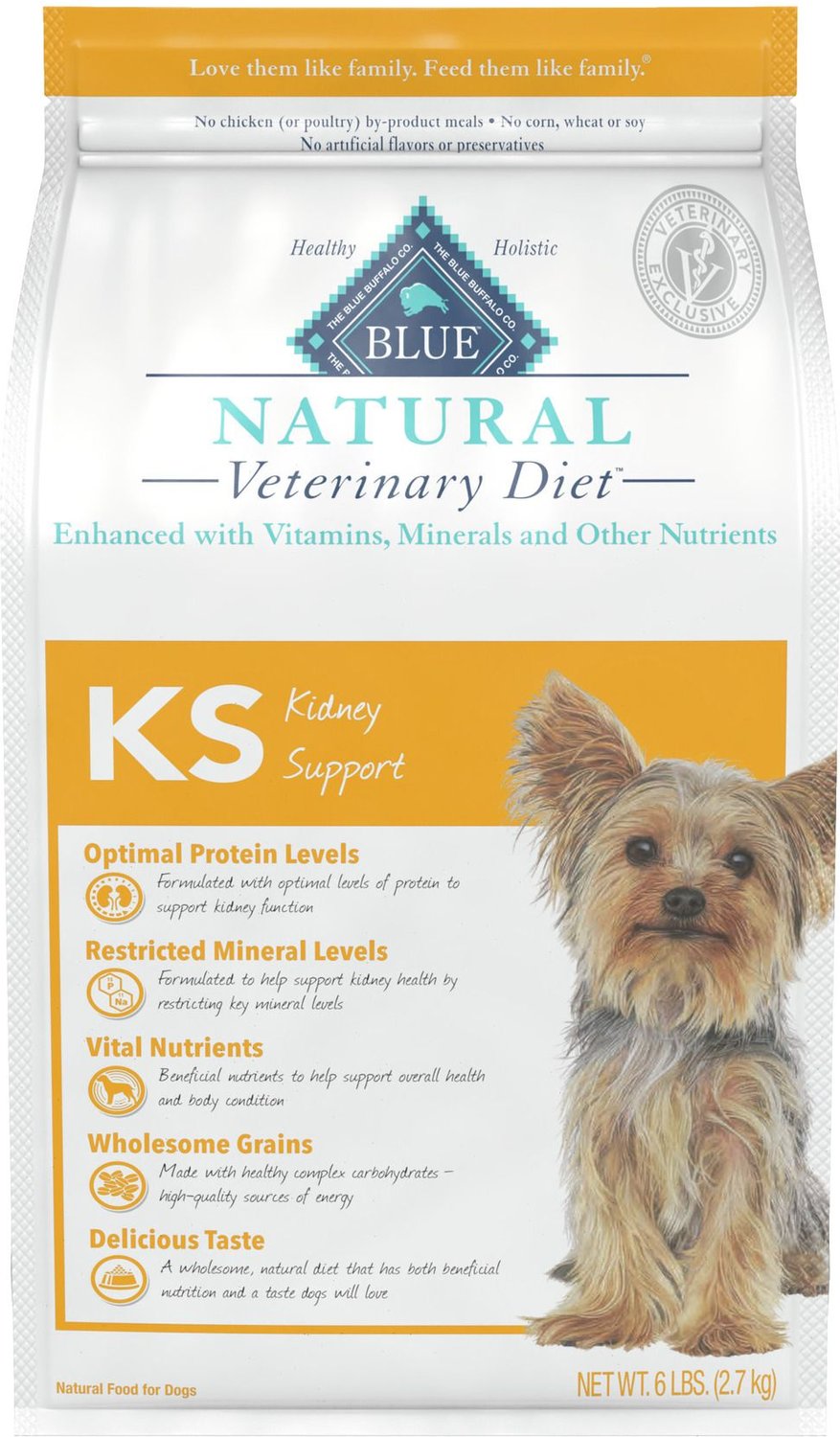 chewy kidney dog food