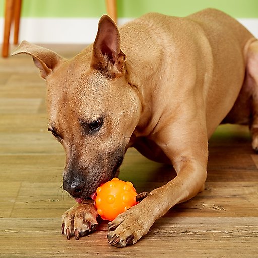 Jolly Pets Jolly Jumper Ball Dog Toy, Orange, 3-in