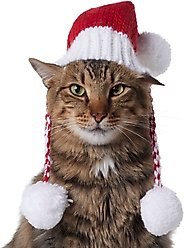 Frisco Chunky Knit Santa Dog & Cat Hat, X-Small/Small
