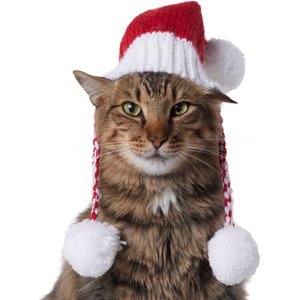 Frisco Chunky Knit Santa Dog & Cat Hat, X-Small/Small