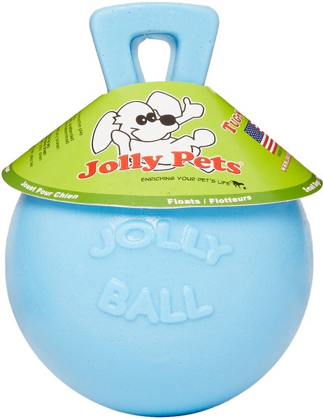 Jolly Pets Tug-n-Toss Dog Toy, Blueberry, 4.5-in slide 1 of 6