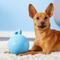 Show in main carousel: Jolly Pets Tug-n-Toss Dog Toy, Blueberry, 4.5-in slide 2 of 7