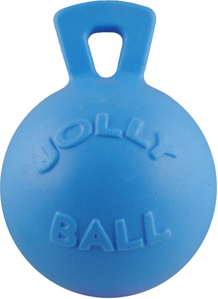 Jolly Pets Tug-n-Toss Dog Toy, Blueberry, 8-in slide 1 of 5
