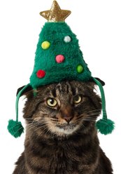 Frisco Faux Fur Christmas Tree Dog & Cat Hat, X-Small/Small slide 1 of 7