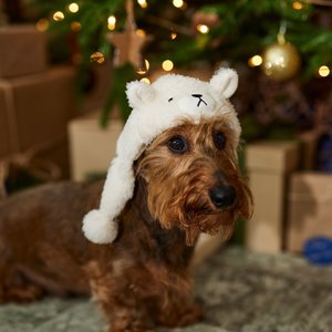 Frisco Plush Polar Bear Dog & Cat Hat, X-Small/Small