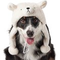 Frisco Plush Polar Bear Dog & Cat Hat, X-Large/XX-Large