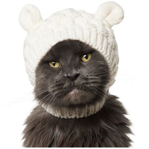 Frisco Polar Bear Sweater Knit Dog & Cat Hat, X-Small/Small