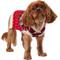Show in main carousel: Frisco Nordic Pawprint Dog & Cat Sweater, Medium slide 1 of 10
