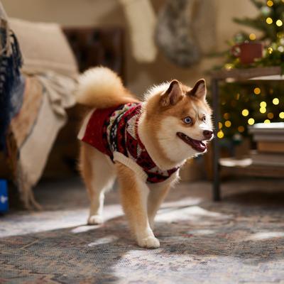 Show full view: Frisco Nordic Pawprint Dog & Cat Sweater, Medium slide 7 of 10