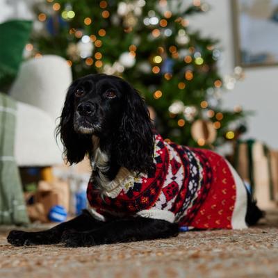 Show full view: Frisco Nordic Pawprint Dog & Cat Sweater, Large slide 6 of 9