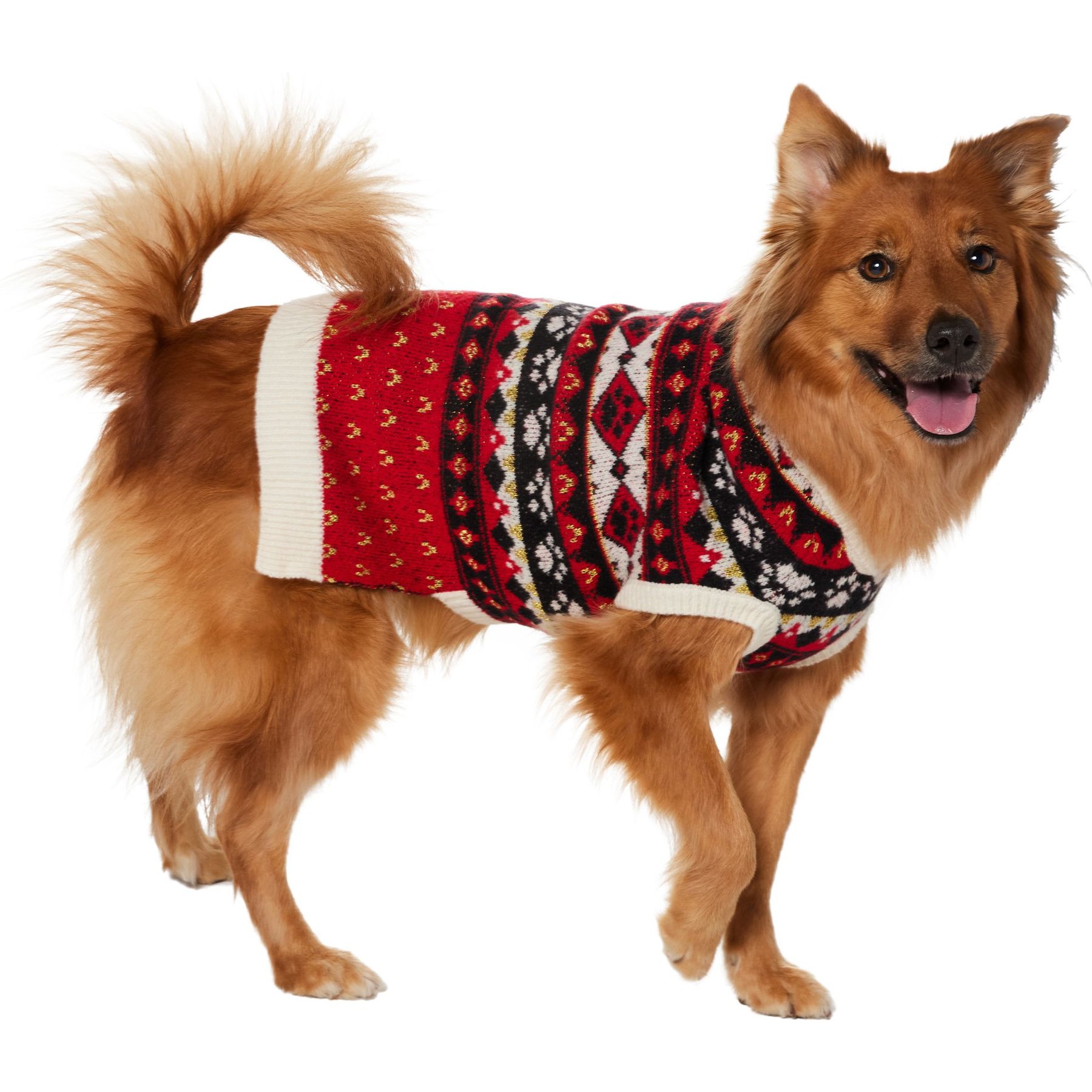 Chewy dog shops christmas sweater