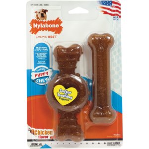 Nylabone Teething Puppy Chill'n Chew Peanut Butter Chew Toy for