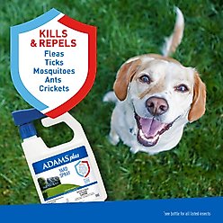 Adams Plus Flea & Tick Yard Spray, 32-oz spray slide 2 of 9