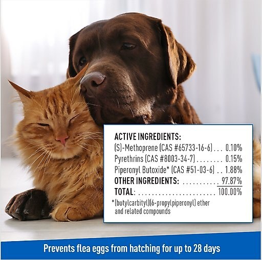 Adams Plus Flea & Tick Shampoo with Precor, 12-oz bottle