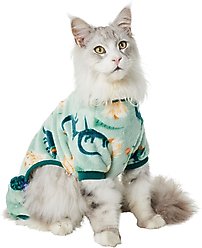 Frisco Holiday Dino Dog & Cat Plush Fleece PJs, Small