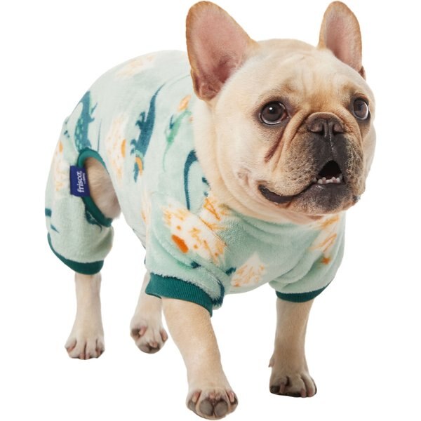 Frisco Holiday Dino Dog & Cat Plush Fleece PJs