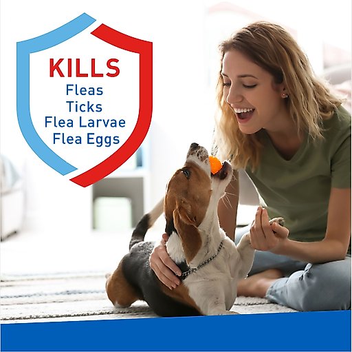 Adams Flea & Tick Carpet Powder, 16-oz bottle