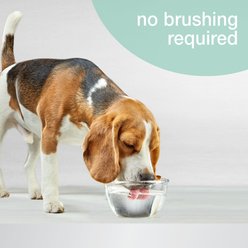 Nylabone Advanced Oral Care Breath Freshener Dog & Cat Dental Water Additive, 16-oz bottle slide 2 of 8