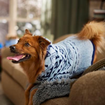 Show full view: Frisco Snuggle Up Knit Dog & Cat Hoodie, Blue DNU, X-Large slide 7 of 10