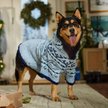 Show in main carousel: Frisco Snuggle Up Knit Dog & Cat Hoodie, Blue, XX-Large slide 7 of 10