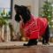Show in main carousel: Frisco Snuggle Up Knit Dog & Cat Hoodie, Red DNU, Large slide 8 of 11