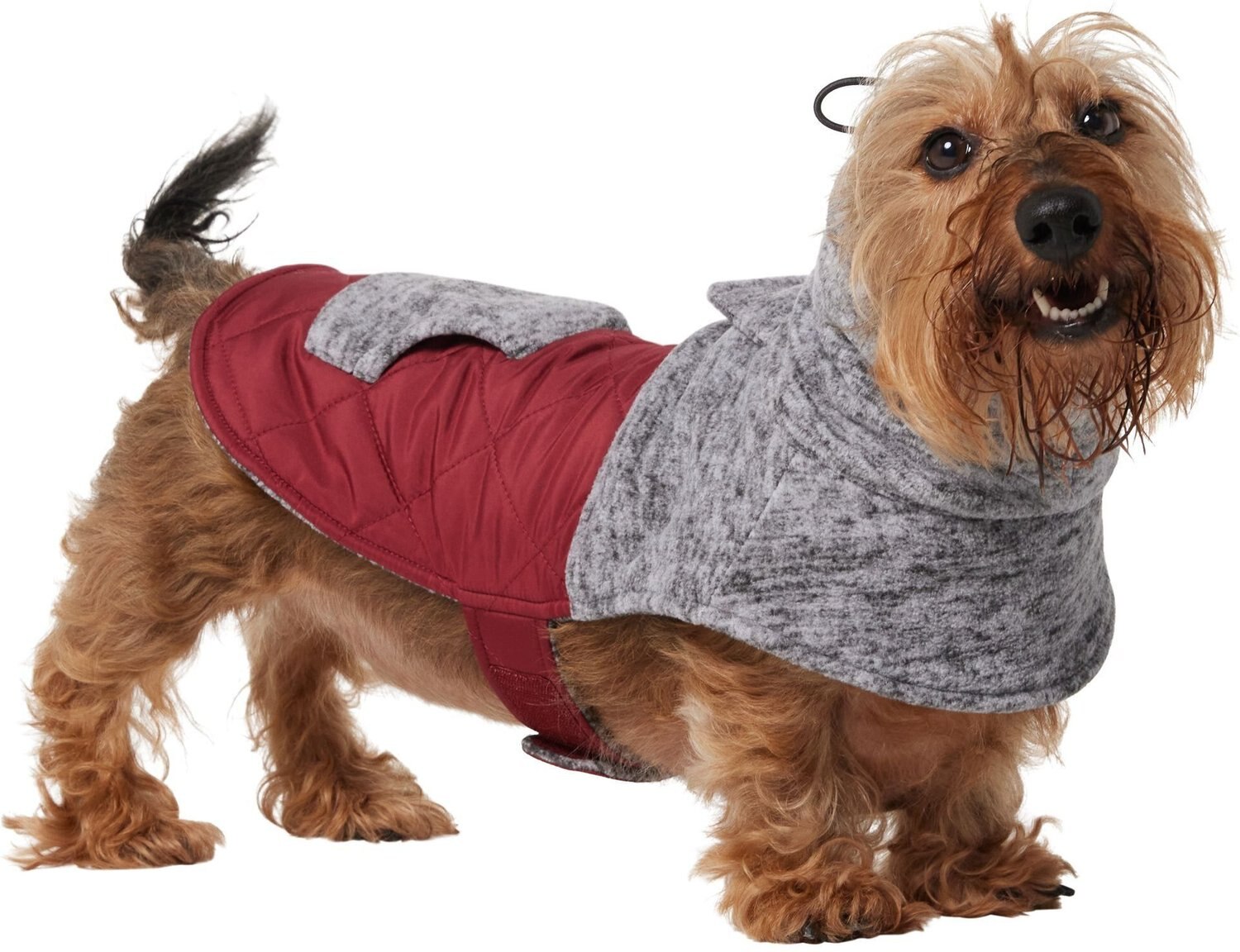 FRISCO Mediumweight Colorblock Insulated Dog & Cat Puffer Coat