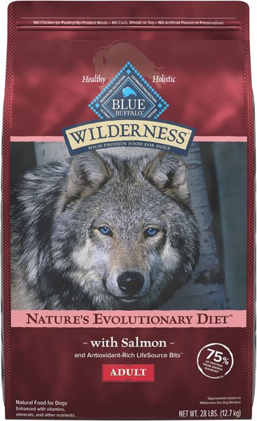 Blue Buffalo Wilderness Salmon Adult Dry Dog Food, 28-lb bag slide 1 of 9