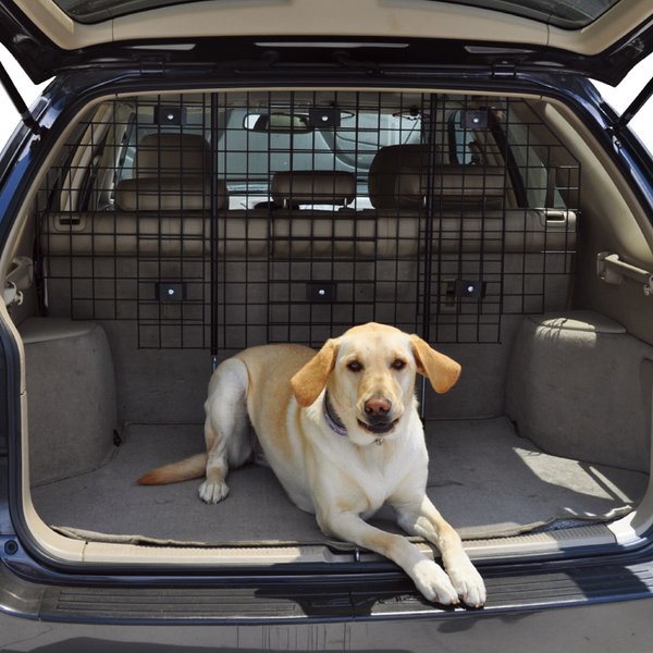 Prius dog clearance barrier