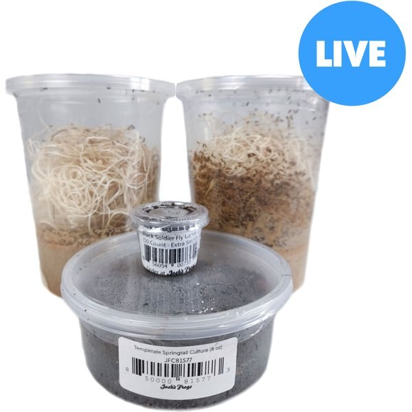 JOSH'S FROGS Dart Frog Feeder Bundle