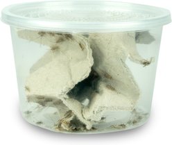 Josh's Frogs Baby Tree Frog Feeder Bundle, Small slide 2 of 9