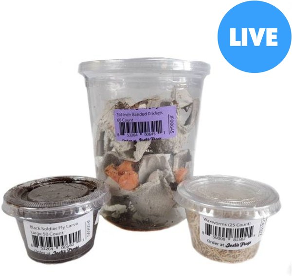 Live Wax Worms 50 Count