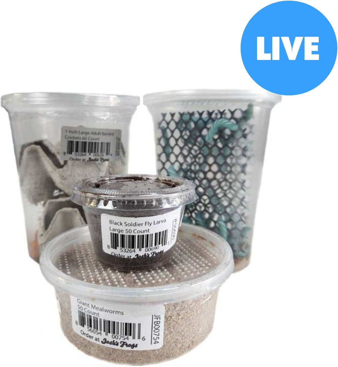 Josh's Frogs Fat Tail Gecko Feeder Bundle