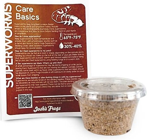 Josh's Frogs Adult Bearded Dragon Feeder Bundle