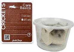Josh's Frogs Juvenile Bearded Dragon Feeder Bundle slide 2 of 9