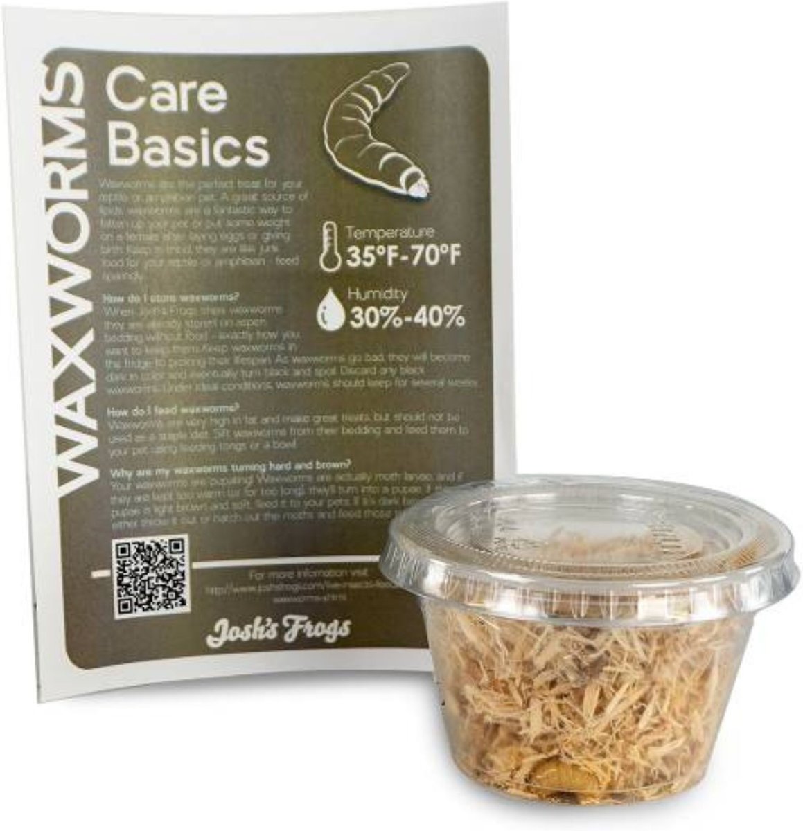 Josh's Frogs Bearded Dragon Feeder Bundle