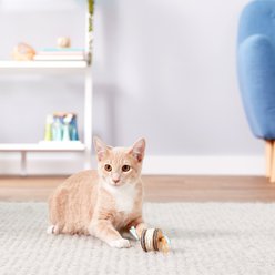 Catit EcoCat Sisal Cylinder Cat Toy slide 2 of 4