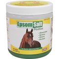 Durvet Epsom Salt Horse Muscle & Joint Pain Relief Poultice, 20-oz jar